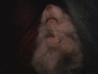 /album/skrecky/moje-fotky0502-jpg/